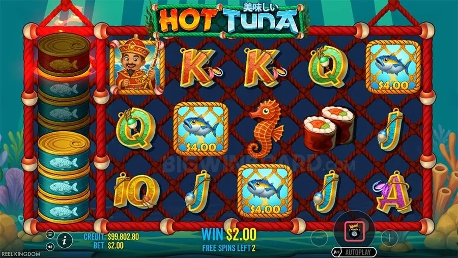 Daily rewards and cashback